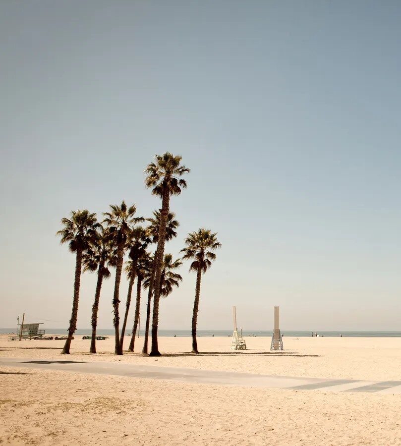 Los Angeles City Guide