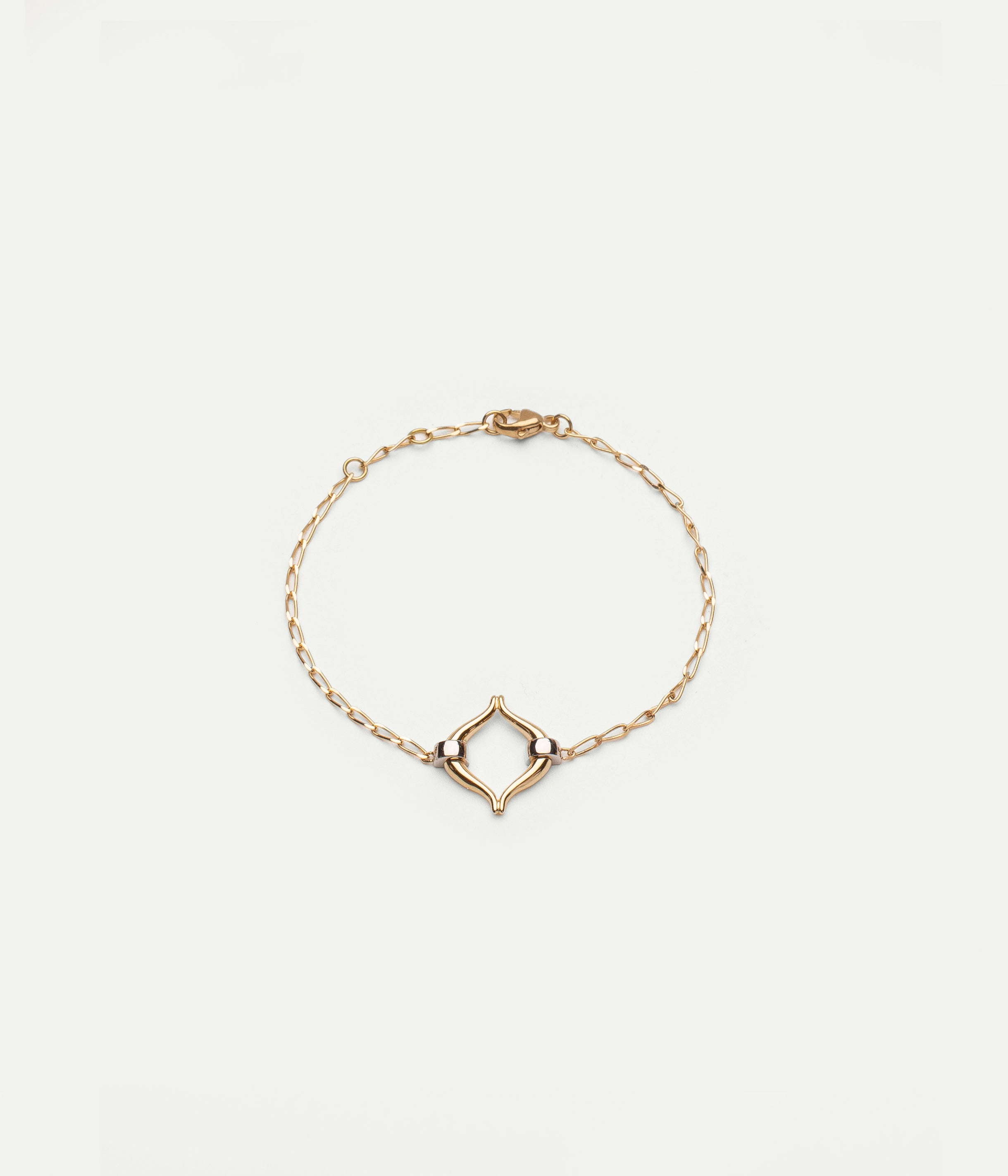 Yellow and white gold Eboris Link Bicolore