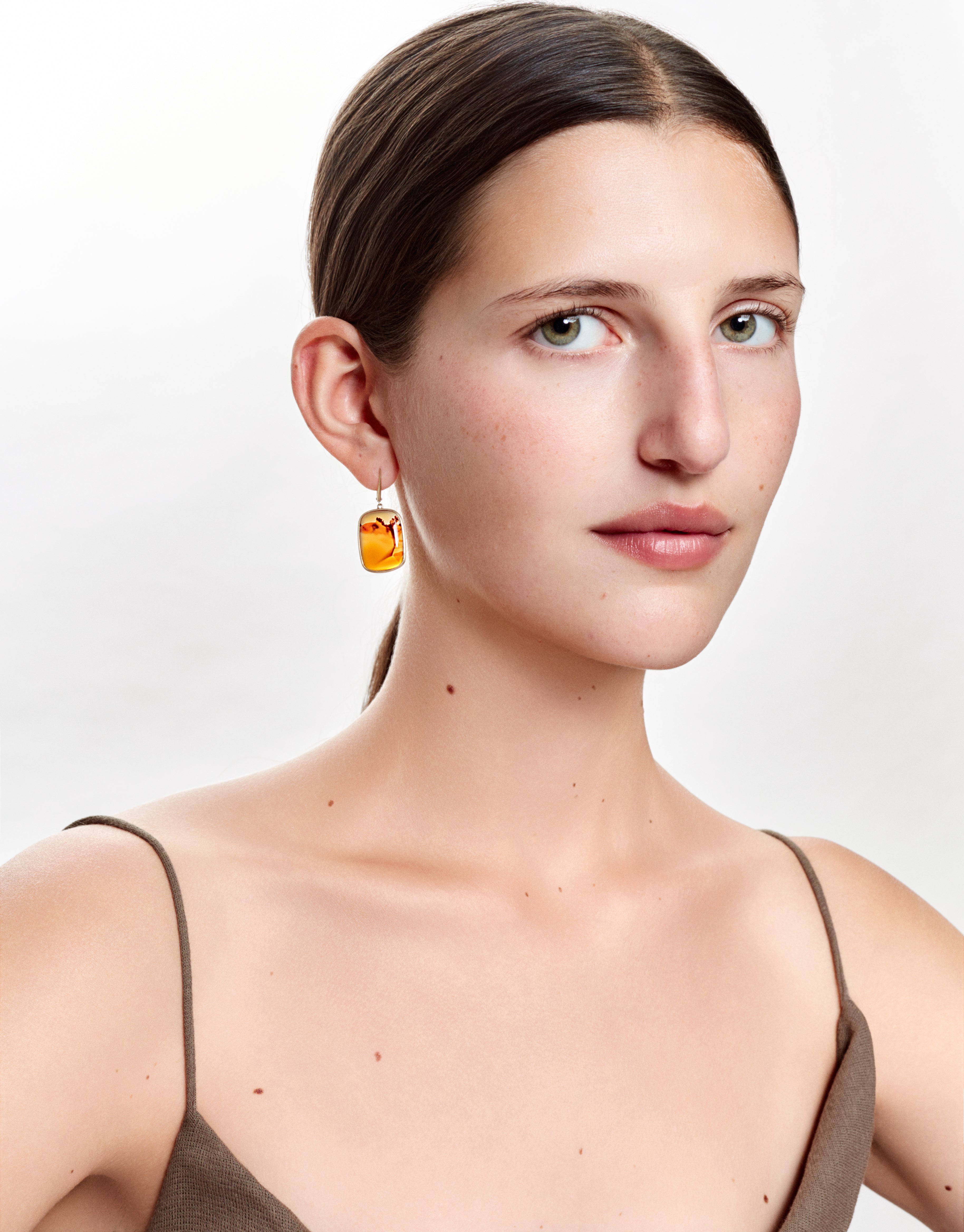 Dragonfly Agate earrings