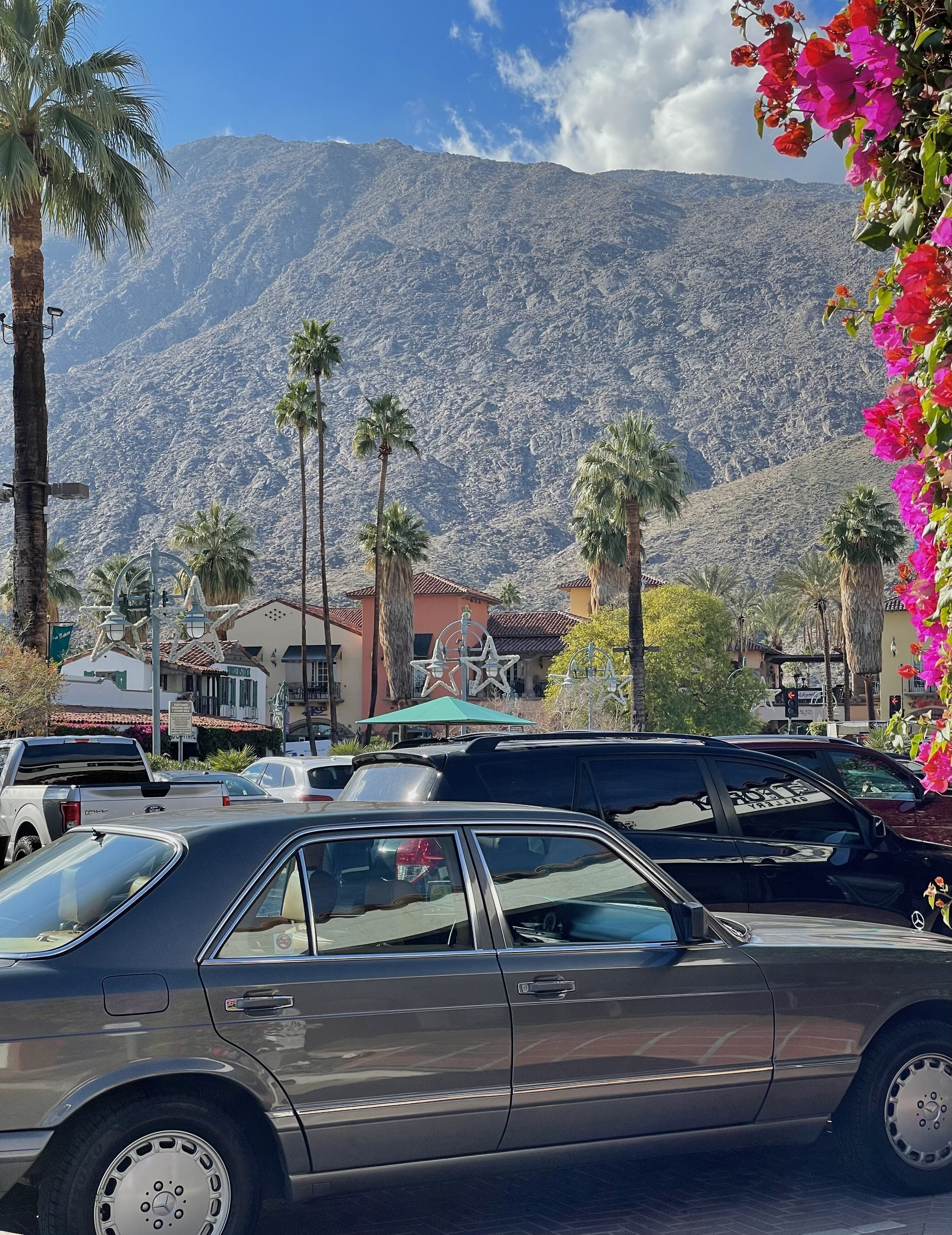 Palm Springs, Travel Diaries by Isabella Capece