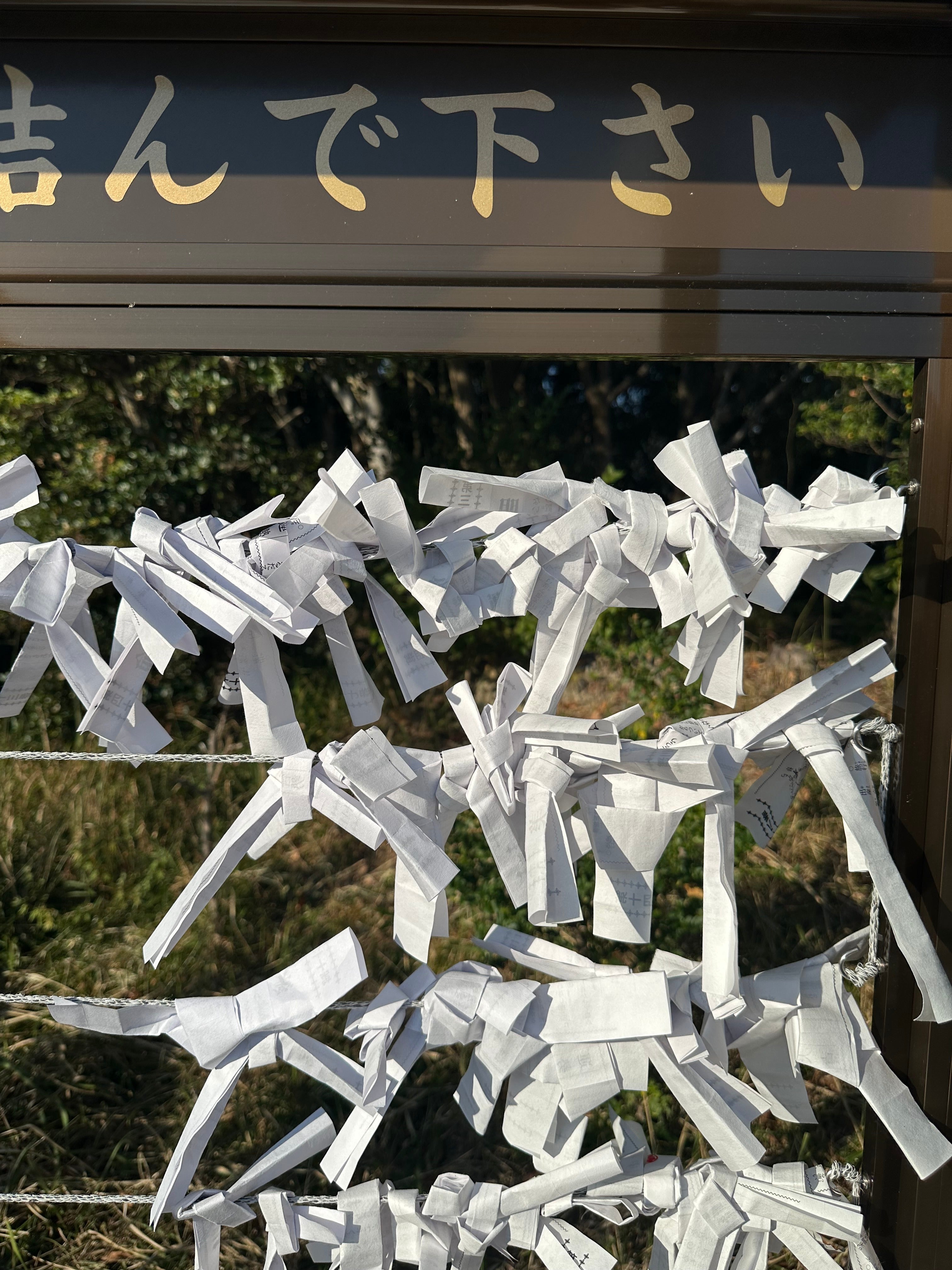 Japan, Carnets de voyage by Isabella Capece