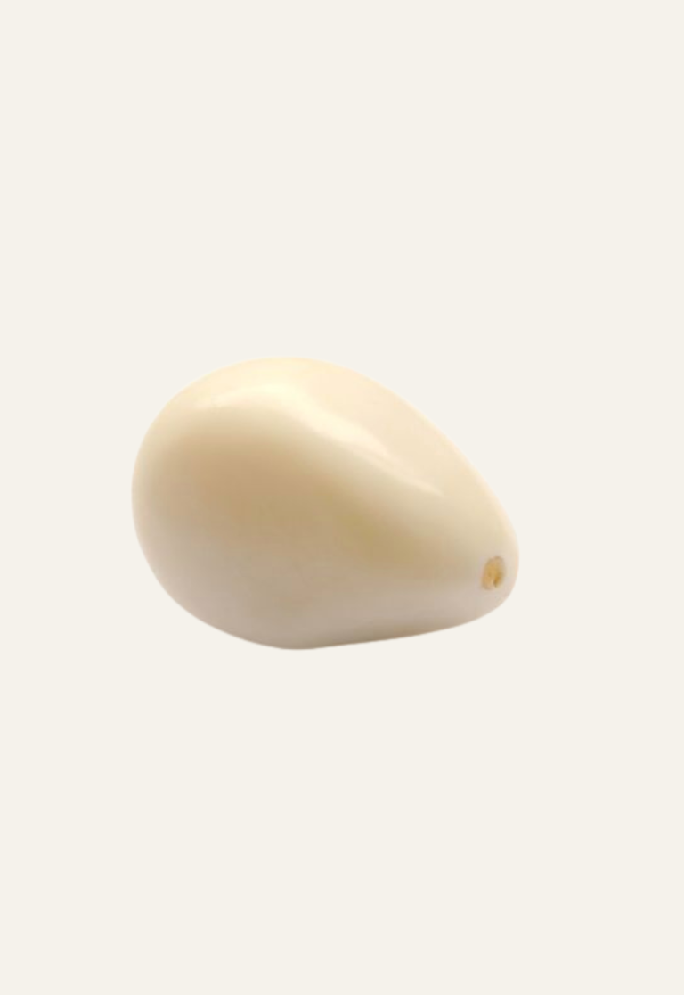 Vegetable Ivory